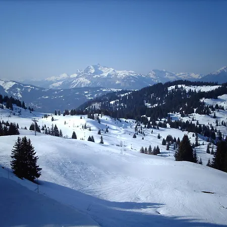Appartement La Boule De Neige *
