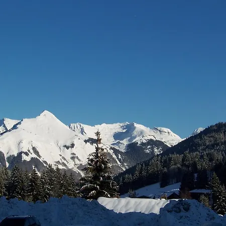 Apartment La Boule De Neige Les Gets